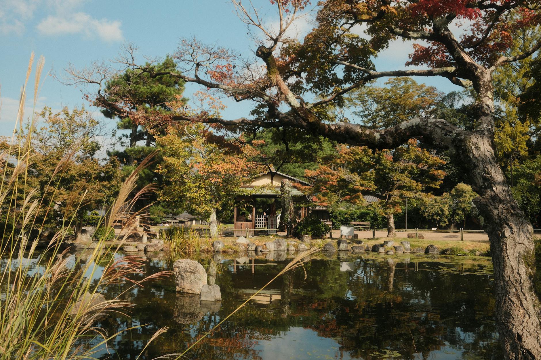 Zwierzogród 2 w Podzamczu – nowa atrakcja Przemyśla